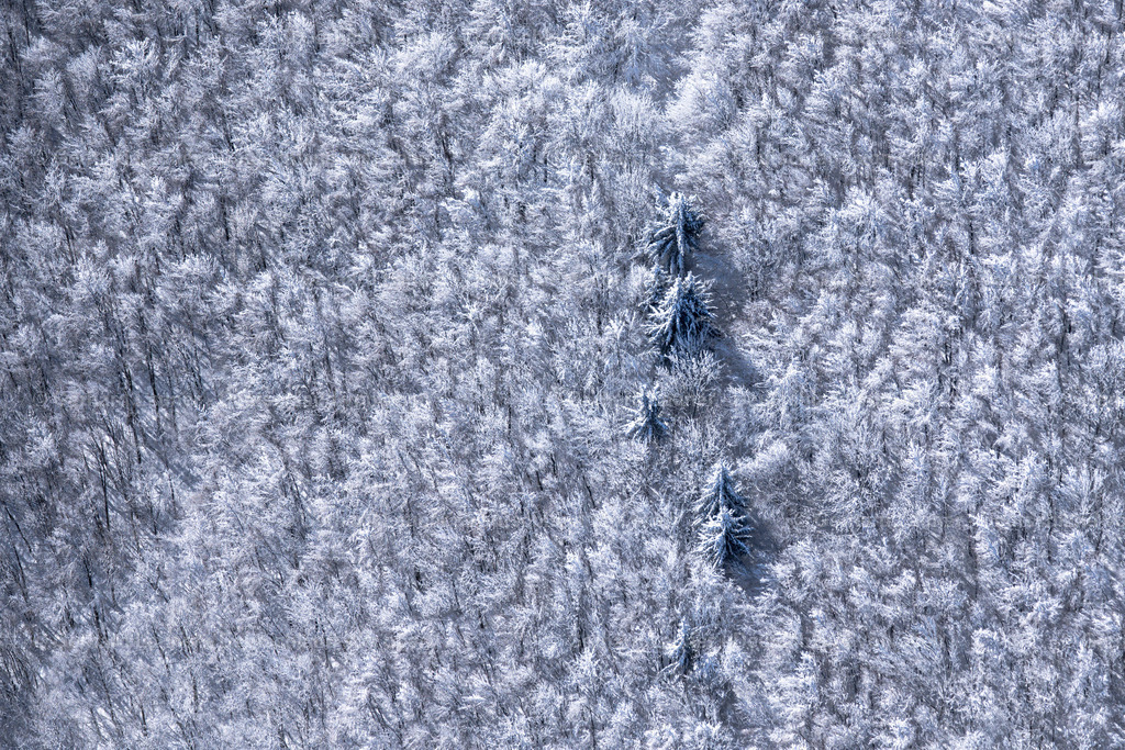 4043405 | winterliche Baumstrukturen in der Rhön