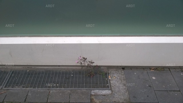 Stadt Natur 3 | ARDT Foto Kunst