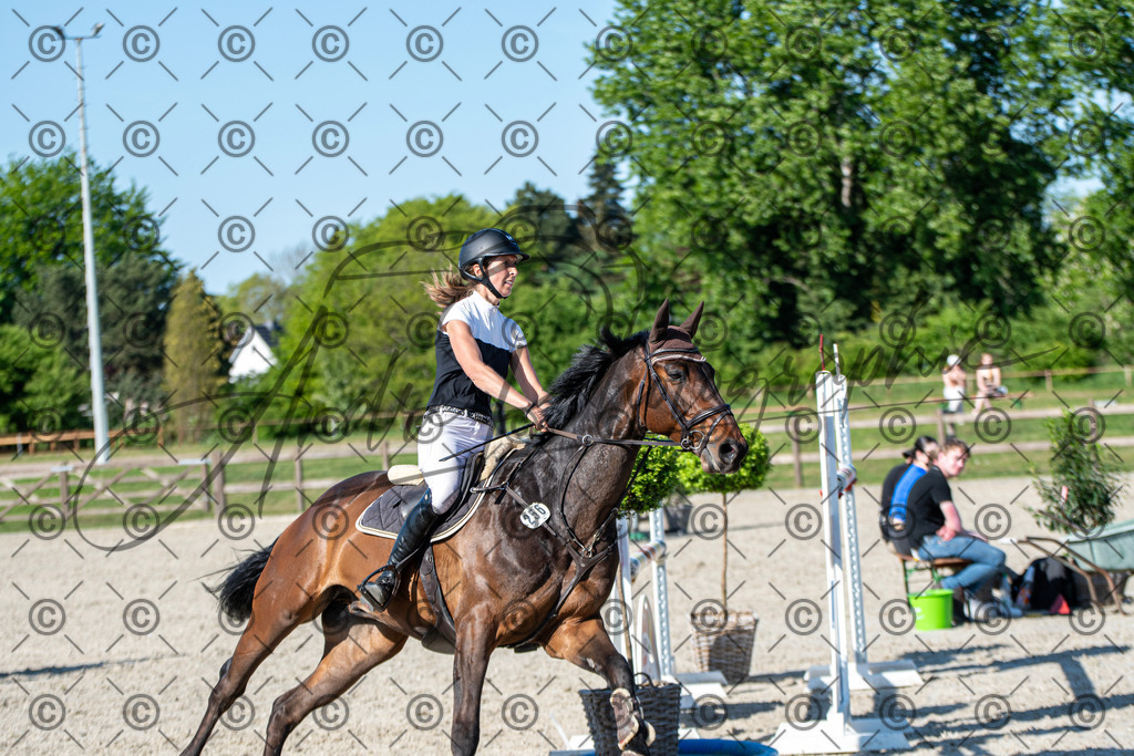 KPT_1903 | andre_photographic