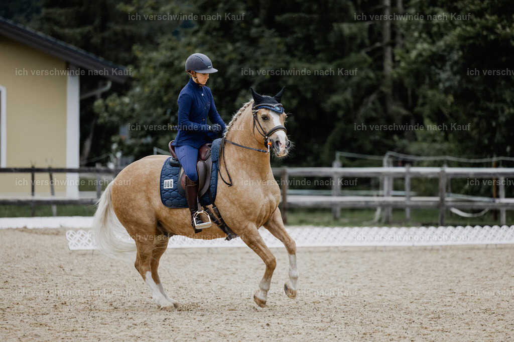 Nici11_FHC2025-24484 | working equitationturnier fotograf videograf stoibphotography marixx film working equitation deutschland reitsport turnierfotografie eventfotografie equestrian events