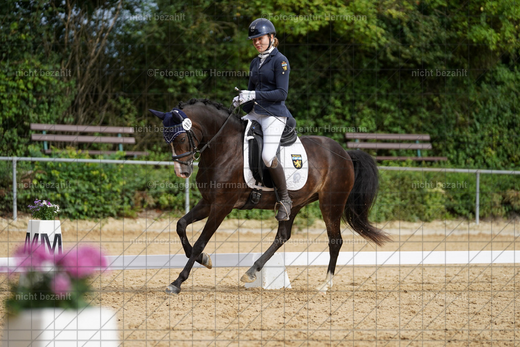 20240825-FAH00211 | Turnierbilder, Reitsportfotos, LAPO, Landesponyturnier, Turnierfotografen Bayern