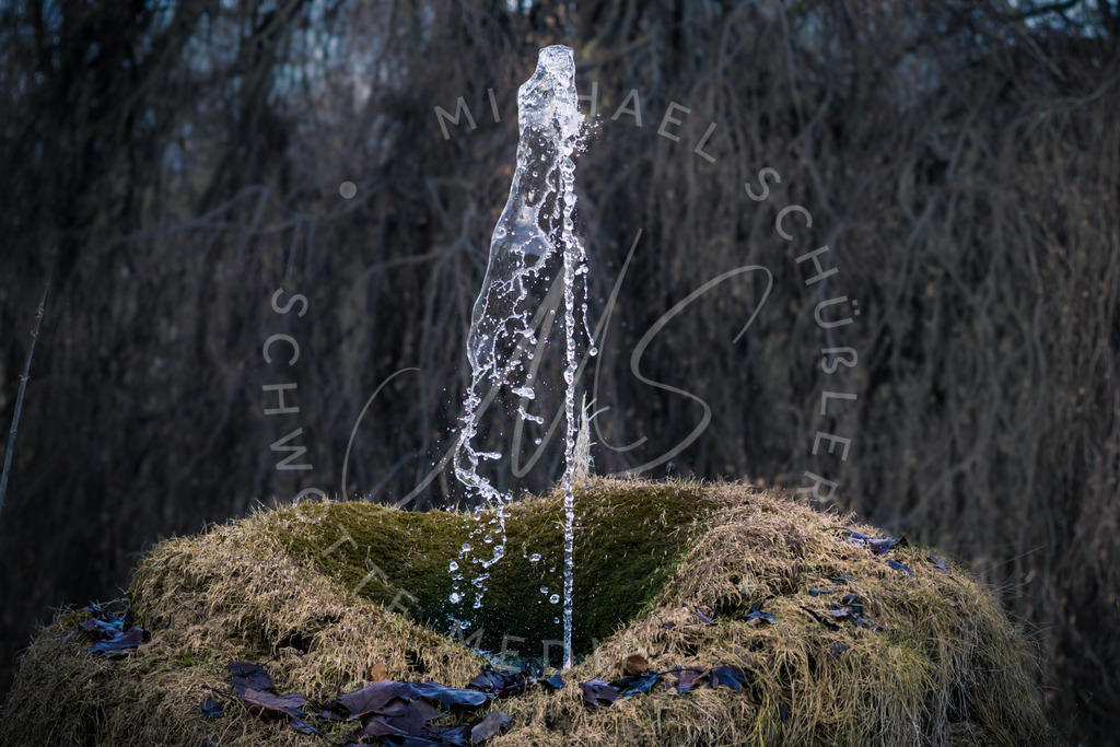 2021-01-23 Hemmingen Fotos Natur-1 | Schwotte Media - Realisiert mit Pictrs.com