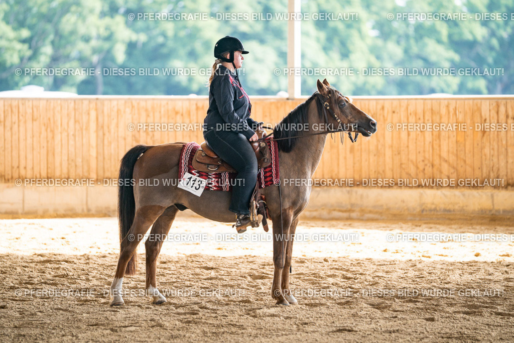 DSC08661 | Pferdegrafie