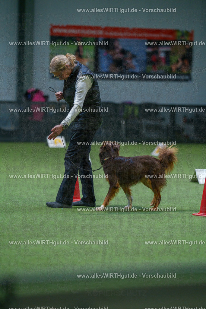 7R501344 | Professionelle Tierfotografie in Mönchengladbach von Daniel Wirth (allesWIRTHgut). Liebevolle & natürliche Bilder von Hunden & Katzen für unvergessliche Erinnerungen.