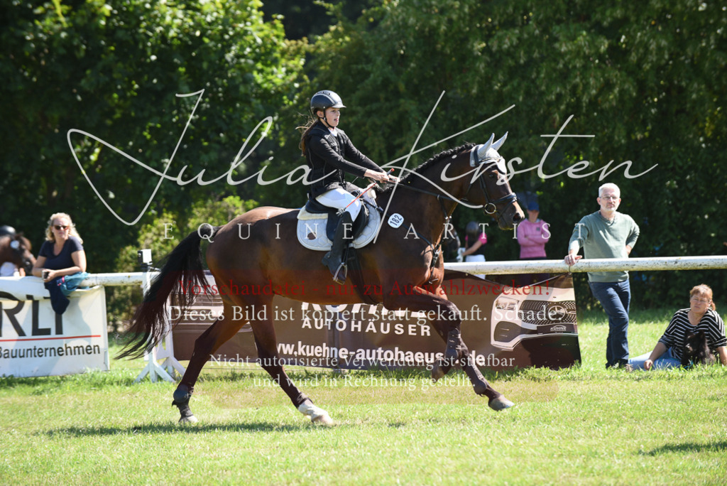 DSC_9453 | Pferde- und Turnierfotografie in Westsachsen. Pferdeportraits, Auftragszeichnungen und intuitive Kunst.