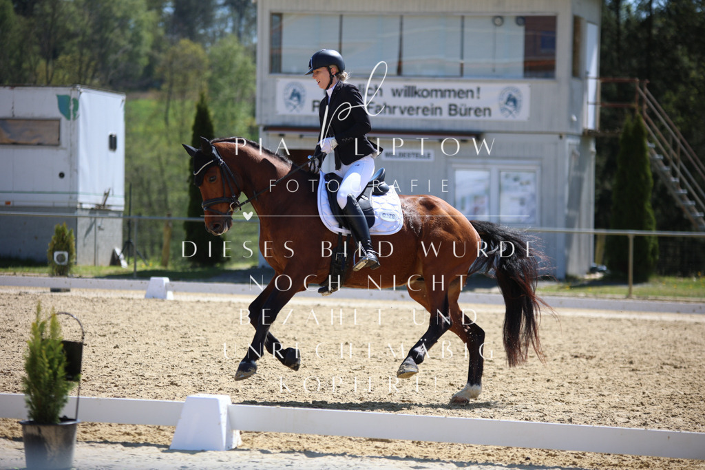 IMGT1540 | pl-fotografie