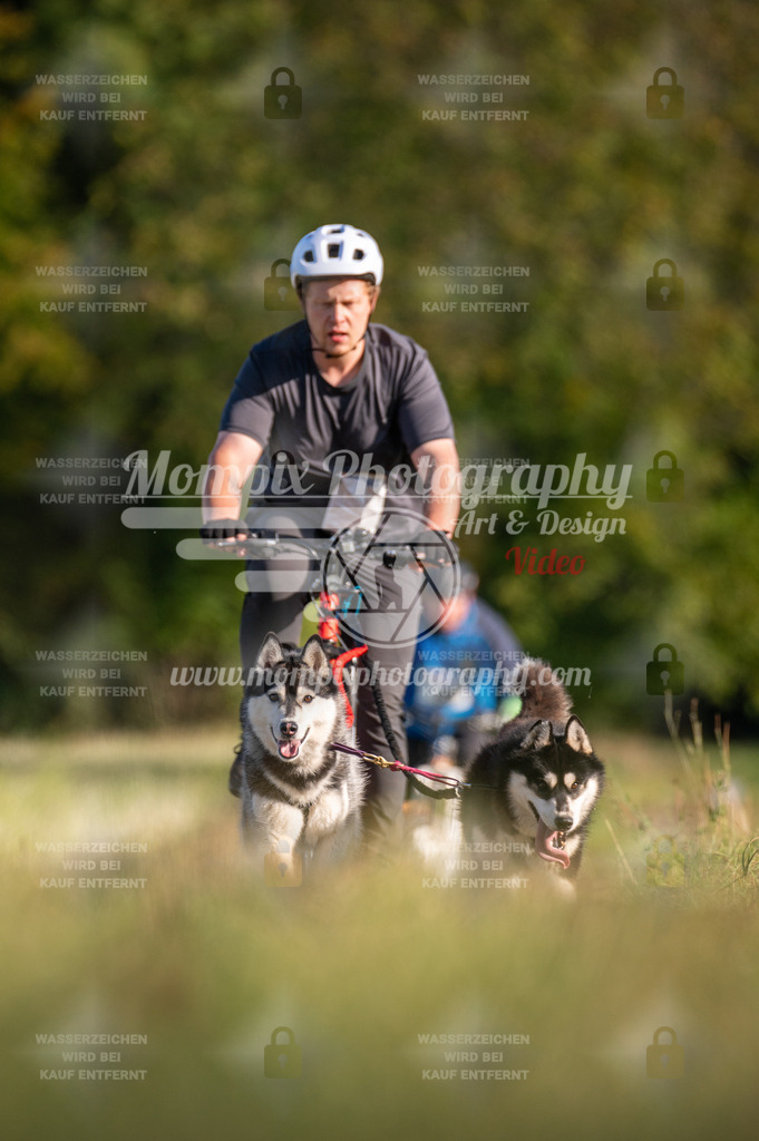 CDLBDB_15_10_2023_Dimanche-360 | mompixphotography