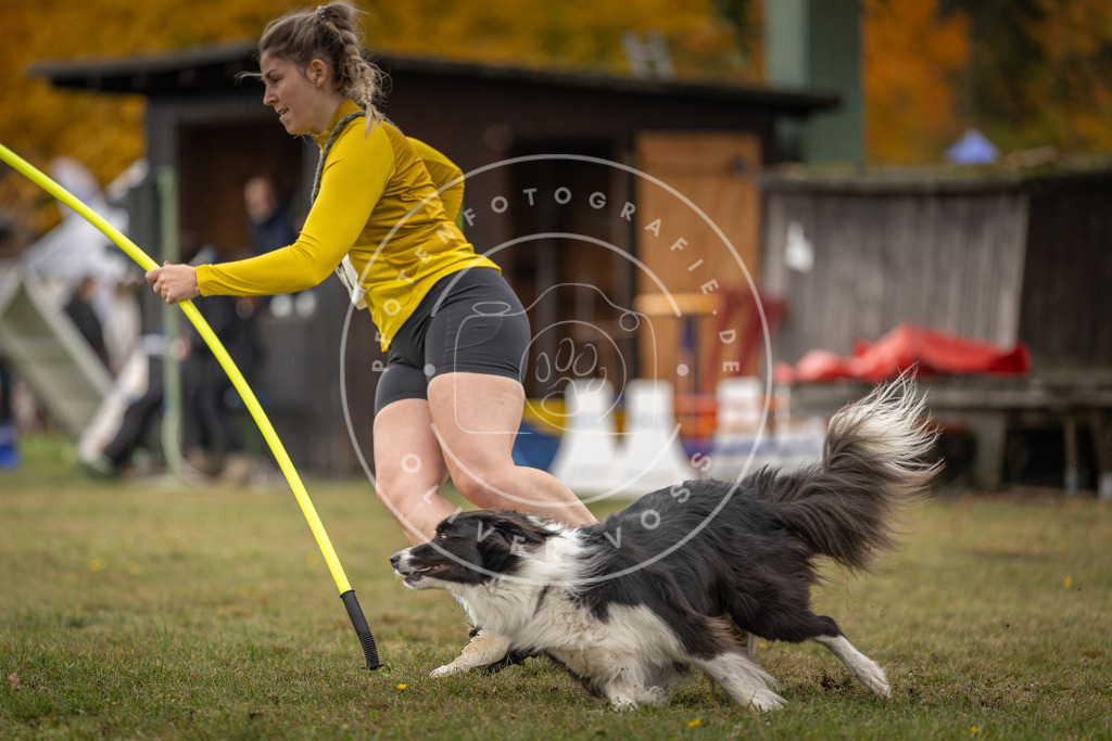 Pfotenfotografie_DV3A6697 | Hundefotografie, Tierfotograf, Pfotenfotografie, Fotoshooting Hund, Hunde Portrait, Hundesport, Hundeportraits, Heideshooting, Hunde, Sportfotograf, Hundefotograf, Turnierhundsport, THS,  - Realisiert mit Pictrs.com