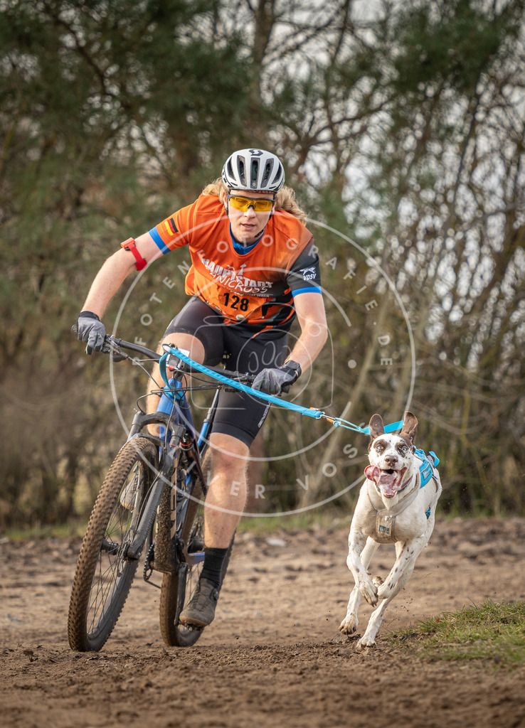 Pfotenfotografie_DV3A8198 | Hundefotografie, Tierfotograf, Pfotenfotografie, Fotoshooting Hund, Hunde Portrait, Hundesport, Hundeportraits, Heideshooting, Hunde, Sportfotograf, Hundefotograf, Turnierhundsport, THS,  - Realisiert mit Pictrs.com