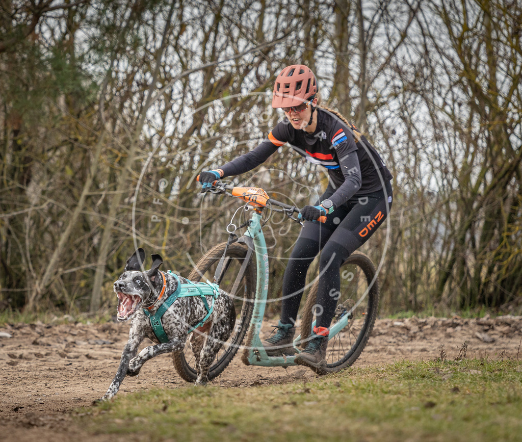 Pfotenfotografie_DV3A9137 | Hundefotografie, Tierfotograf, Pfotenfotografie, Fotoshooting Hund, Hunde Portrait, Hundesport, Hundeportraits, Heideshooting, Hunde, Sportfotograf, Hundefotograf, Turnierhundsport, THS,  - Realisiert mit Pictrs.com