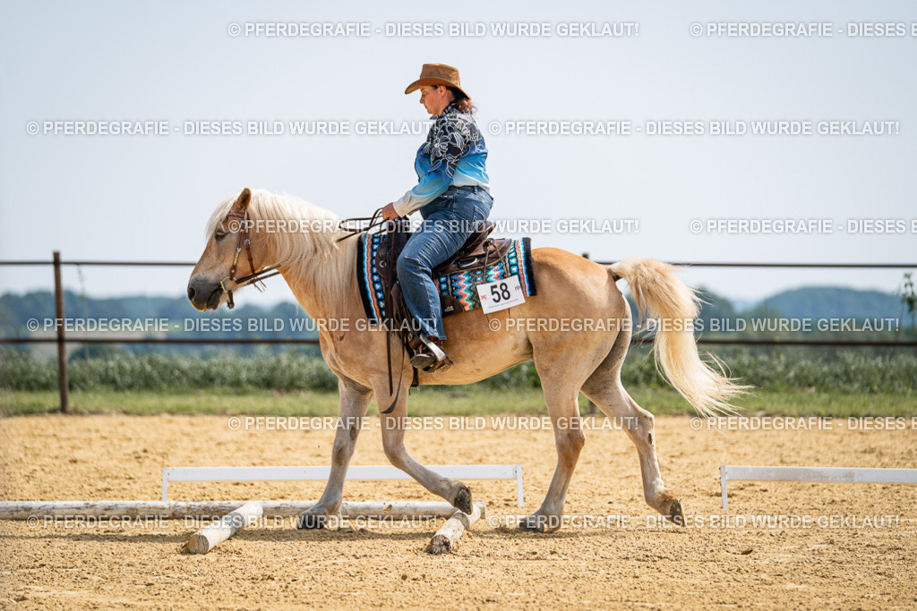 DSC09977 | Pferdegrafie