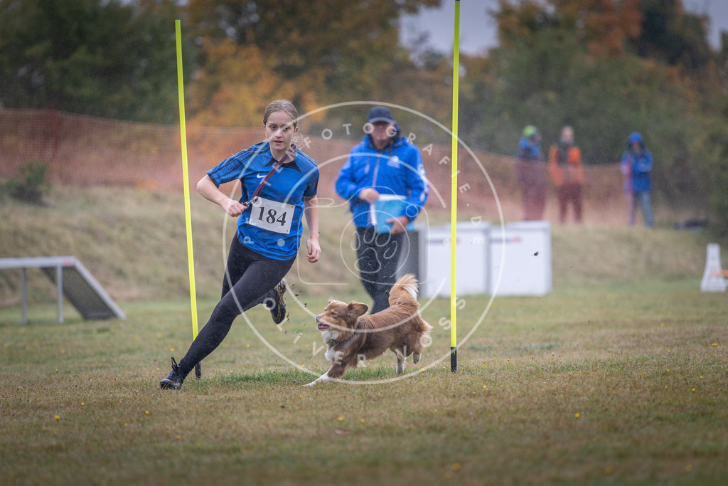 Pfotenfotografie_DV3A0044 | Hundefotografie, Tierfotograf, Pfotenfotografie, Fotoshooting Hund, Hunde Portrait, Hundesport, Hundeportraits, Heideshooting, Hunde, Sportfotograf, Hundefotograf, Turnierhundsport, THS,  - Realisiert mit Pictrs.com