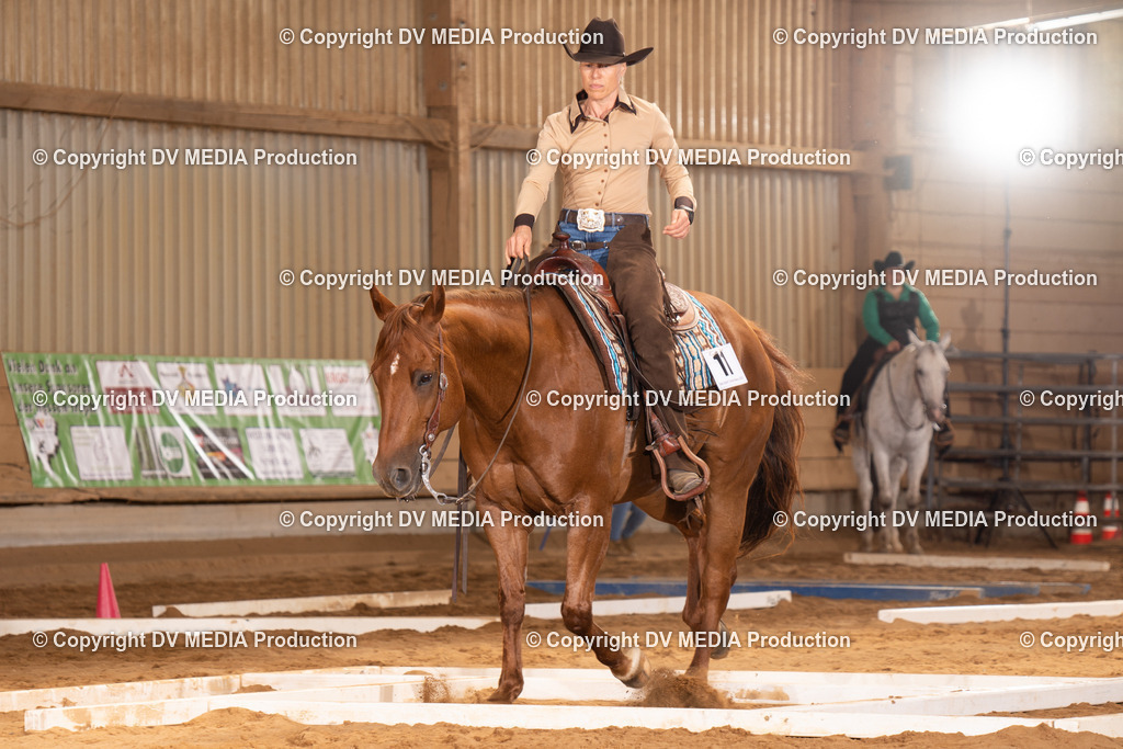 NID00549 | dv-media-shop - Realisiert mit Pictrs.com