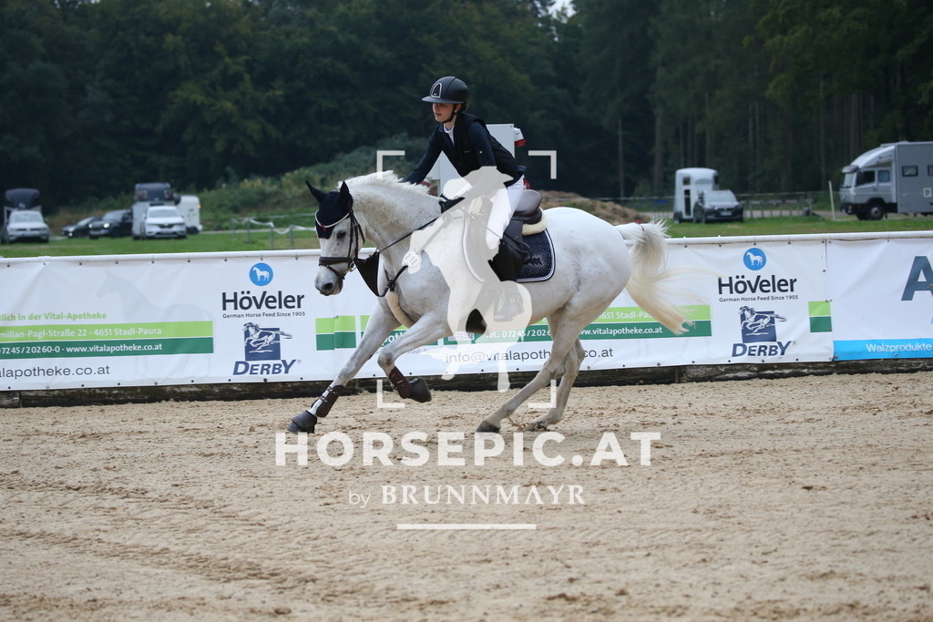 DL2Q6683 | Willkommen bei Brunnmayr - Design & Fotografie – Ihrem Spezialisten für Reitturniere und Pferdeveranstaltungen in Oberösterreich, Salzburg und Bayern! Seit über 17 Jahren sind wir leidenschaftlich dabei.