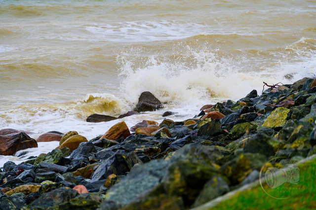 _DSC4458 | Shop für Prints Landschaftsfotografie Sächsische Schweiz Naturfotografie in Thüringen Fotos vom Findlingspark Nochten Kloster Sankt Marienstern Bilder Festung Königstein PanoramaRhododendronpark Kromlau FotogalerSchleswig-Holstein Küstenlandschaften