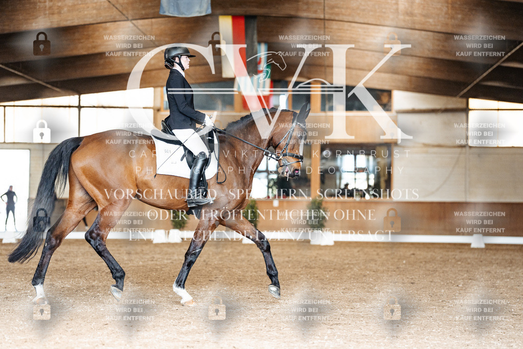 CK901769 | Turnierfotografie Pferdefotografie Trier Rheinland-Pfalz Pferdesport Reitsport Tierfotografie Sportfotografie Pferdevideo Pferdevideografie Equestrianvideography equestrianphotography  - Realisiert mit Pictrs.com