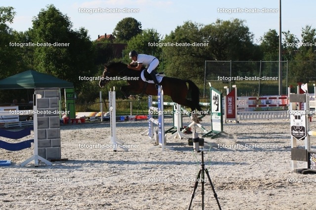 OHT 2022 Röhlingen (193) | Fotografie, Tiere, Hunde, Katzen, Pferde, Sportfotografie, Fotosession, Tierfotografie, Turnierfotografie, Fotografin, Fotograf - Realisiert mit Pictrs.com