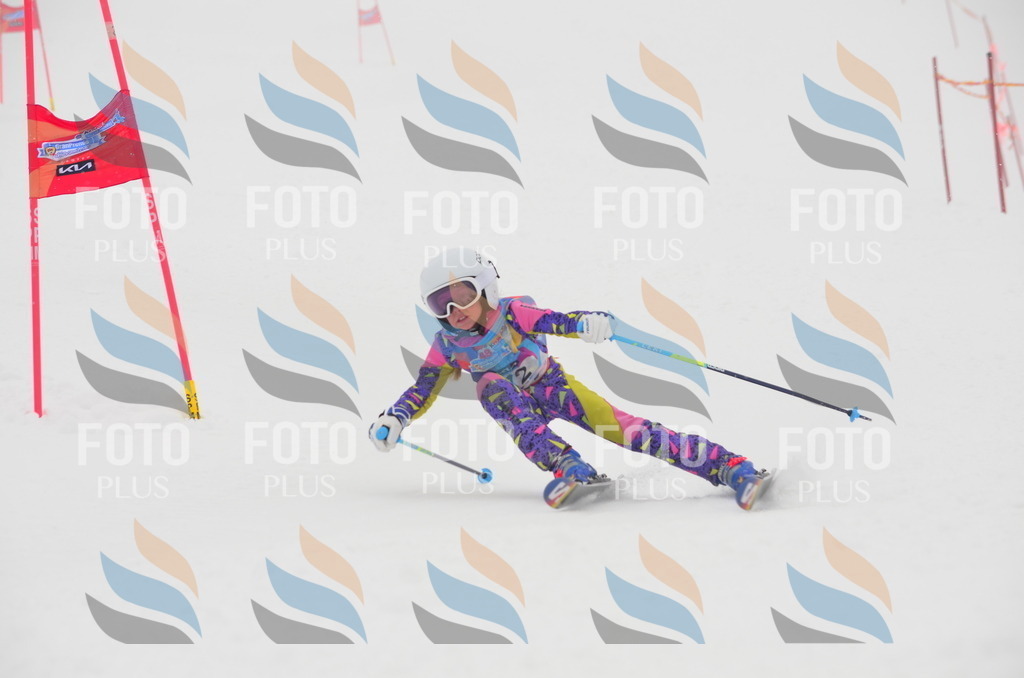 C1177 | holidayphoto