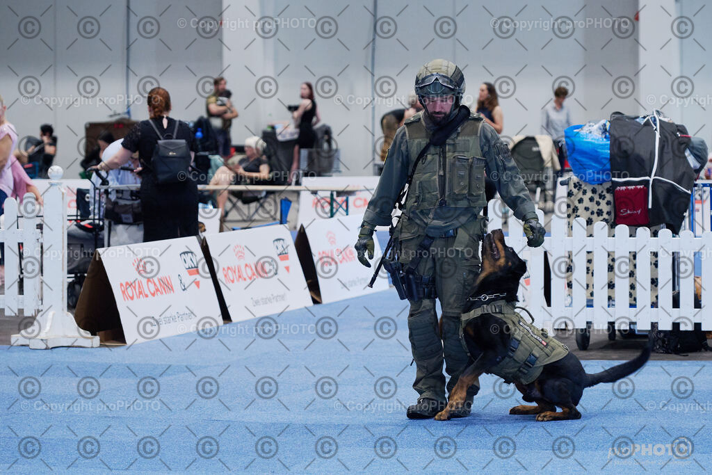 202406_ÖKV-IHA-Tulln24_NZ9_7761 | proPHOTO - Realisiert mit Pictrs.com