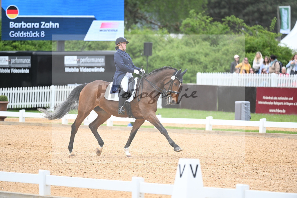 Zahn_Goldstueck_11233485 | hf-fotografie - Realisiert mit Pictrs.com