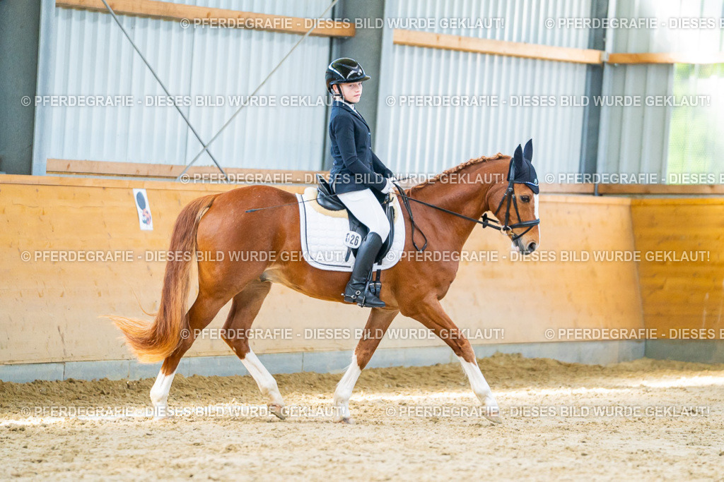 DSC06798 | Pferdegrafie