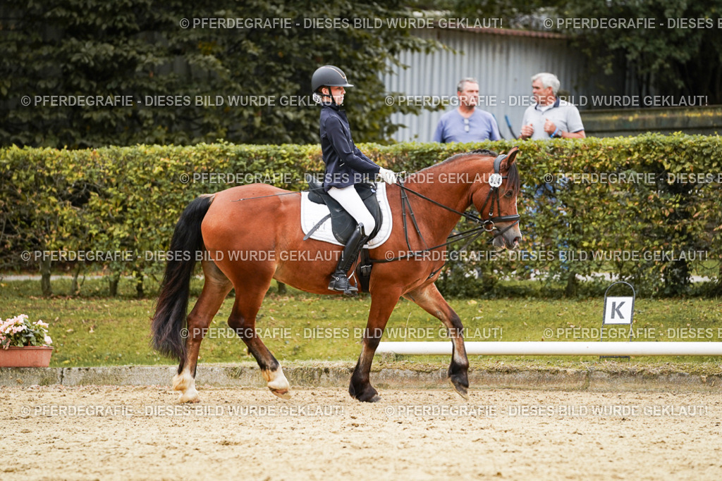 DSC00176 | Pferdegrafie