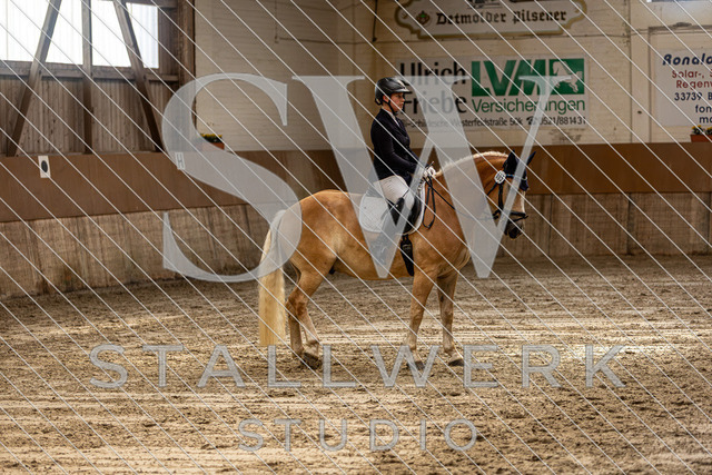 2L2A0666 | stallwerkstudio - Realisiert mit Pictrs.com