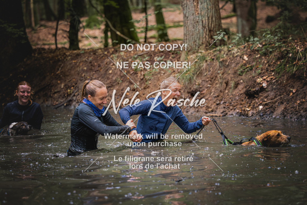 nelerasche_SaWingst1300-1400_169 | nelerasche