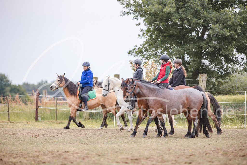 846A0267 | fotosleben - Realisiert mit Pictrs.com