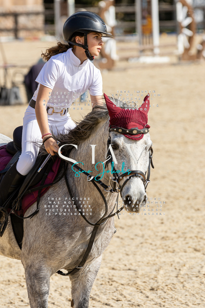 IMG_4347 | s-jay-photography - Realisiert mit Pictrs.com