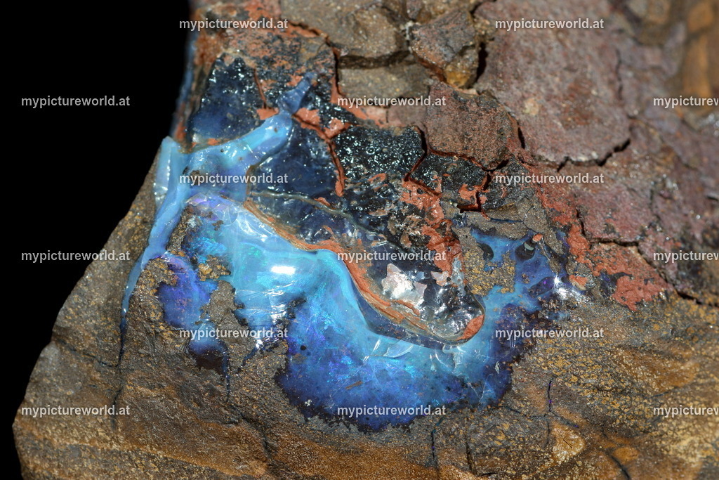 Opal-001 | Das Bilderarchiv über Tiere, Planzen und Landschaften. In der Bilddatenbank finden Sie ein große Auswahl an hochwertigen Bilder für Ihre Werbung - Realisiert mit Pictrs.com