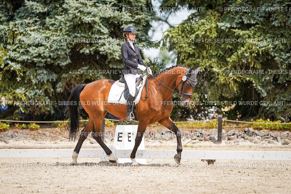 DSC03521 | Pferdegrafie