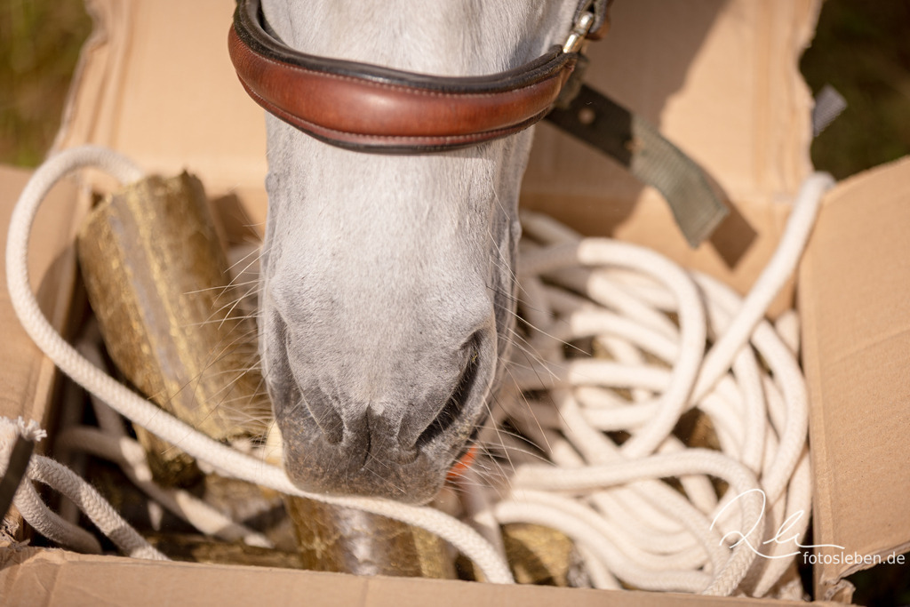 846A2763 | fotosleben - Realisiert mit Pictrs.com