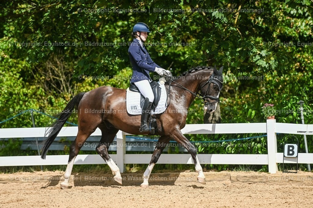 20230715_02_Dressurreiterprüfung Kl.L_0260 | equistock