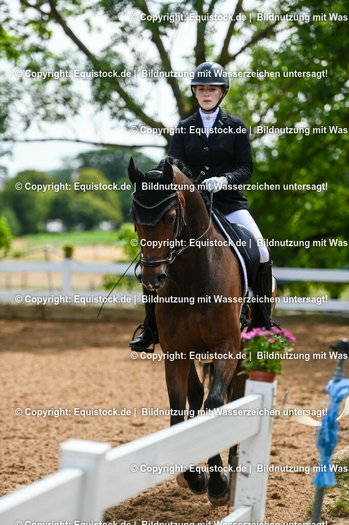 20230716_03_Dressurprfg. Kl.L - Tr._0459 | equistock
