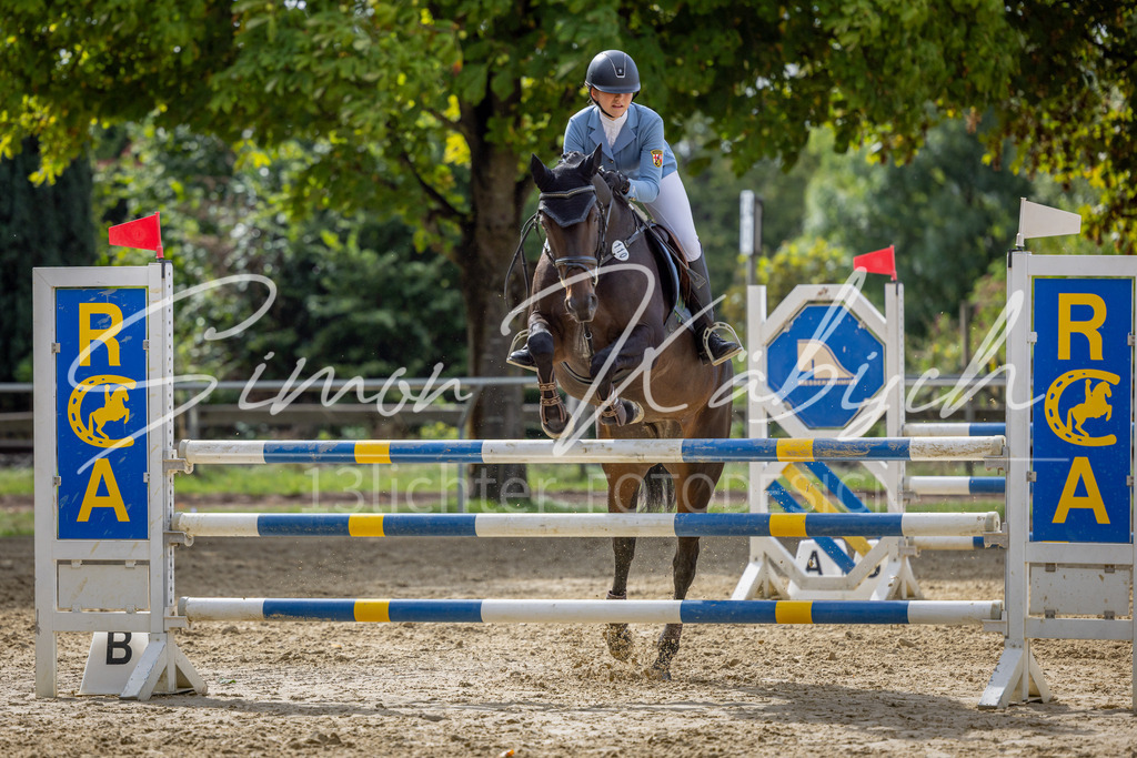 20260905-_3LI7534 | Tierfotografie Pferde, Hunde, Katzen, Haustiere.
Turnierfotografie Reitturniere, Reiten, Springreiten, Dressur in Hanau, dem Main-Kinzig-Kreis und dem Rhein-Main- Gebiet um Frankfurt
