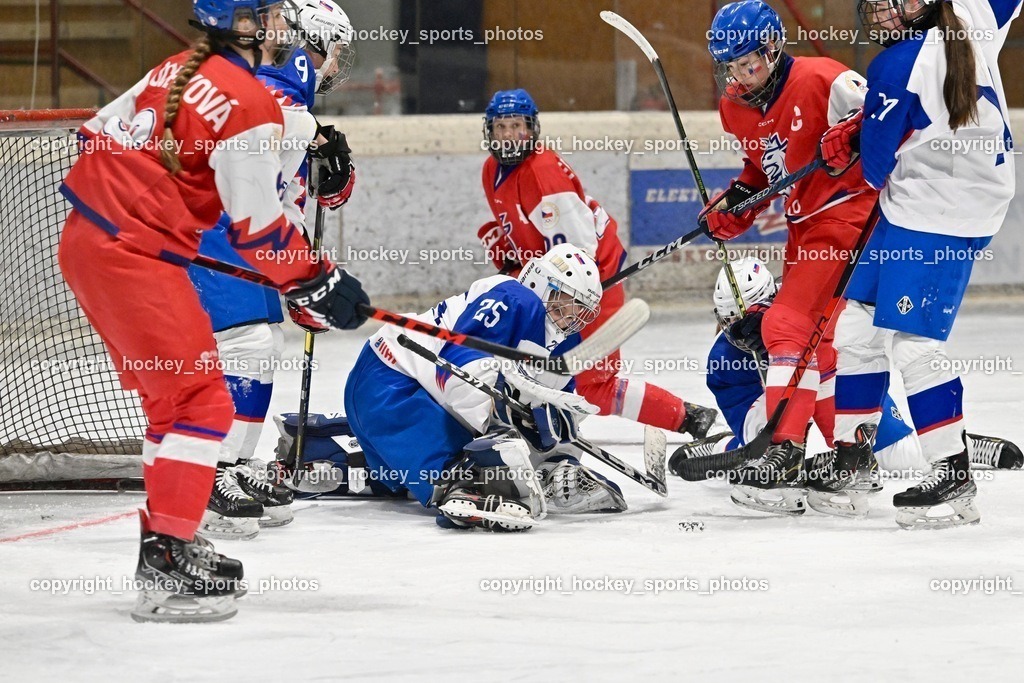 Z9B_7361 | hockey sports photos, Pressefotos, Sportfotos, hockey247, win 2day icehockeyleague, Handball Austria, Floorball Austria, ÖVV, Kärntner Eishockeyverband, KEHV, KFV, Kärntner Fussballverband, Österreichischer Volleyballverband, Alps Hockey League, ÖFB, 