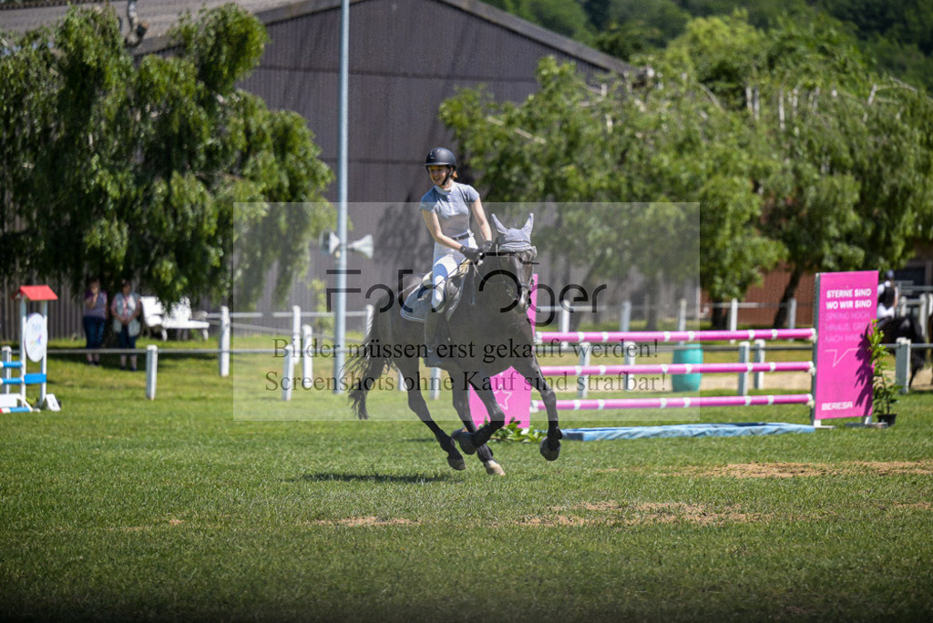 Reitturnier Voxtrup | Entdecke hochwertige Reitturnierfotos von Foto Oger. Professionell, emotional und authentisch – jetzt Lieblingsmomente im Shop bestellen. - Realisiert mit Pictrs.com