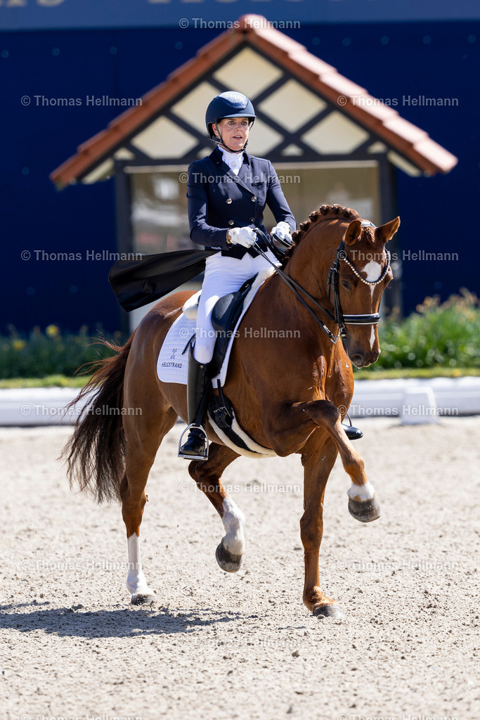 TH_383-HELGSTRAND Marianne (DEN)_ Valerio 42_36585 | Horses &amp; Dreams 2026 am 26.04.26 in Hagen a.T.W., Thomas Hellmann, 383HELGSTRAND Marianne (DEN), Valerio 42