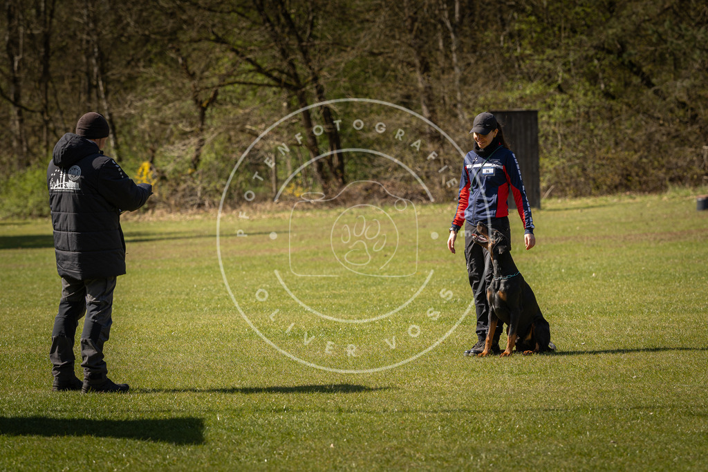 Pfotenfotografie_DV3A0805 | Hundefotografie, Tierfotograf, Pfotenfotografie, Fotoshooting Hund, Hunde Portrait, Hundesport, Hundeportraits, Heideshooting, Hunde, Sportfotograf, Hundefotograf, Turnierhundsport, THS,  - Realisiert mit Pictrs.com