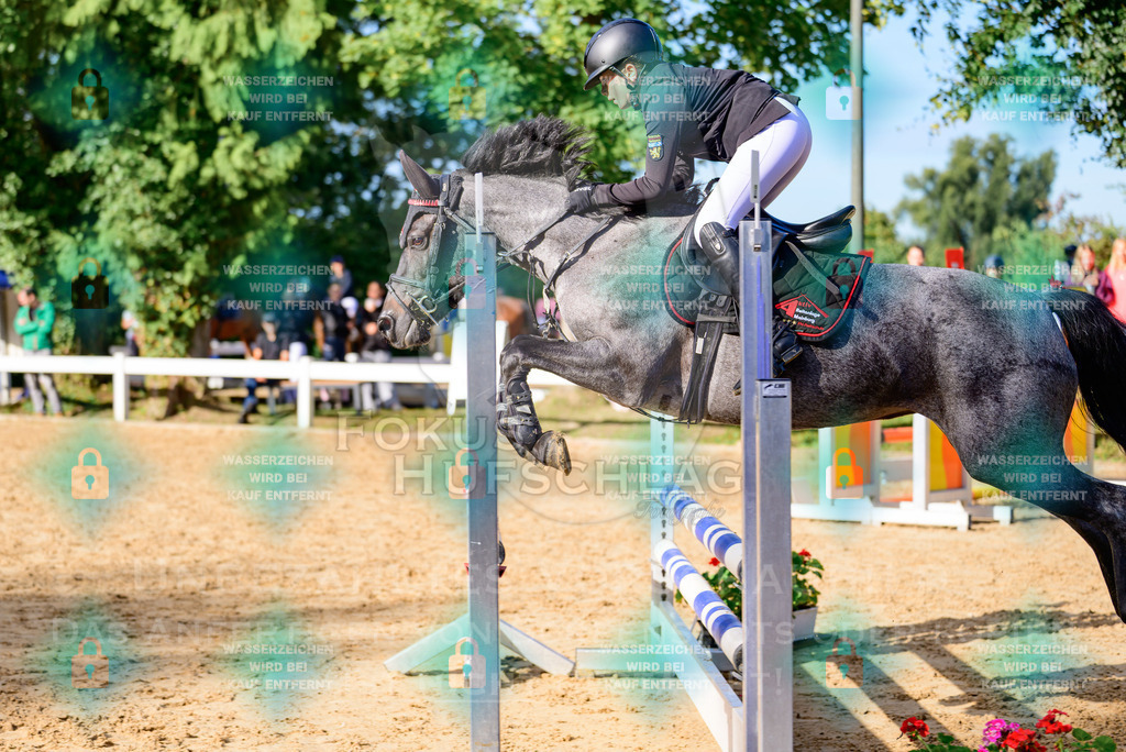 30082026-Giesenbach-Prfg16-0009 | Fokus Hufschlag Fotografie - Realisiert mit Pictrs.com