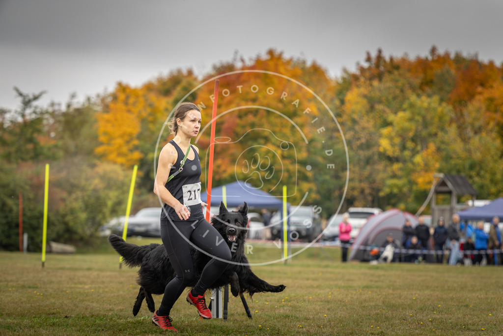Pfotenfotografie_DV3A3585 | Hundefotografie, Tierfotograf, Pfotenfotografie, Fotoshooting Hund, Hunde Portrait, Hundesport, Hundeportraits, Heideshooting, Hunde, Sportfotograf, Hundefotograf, Turnierhundsport, THS,  - Realisiert mit Pictrs.com