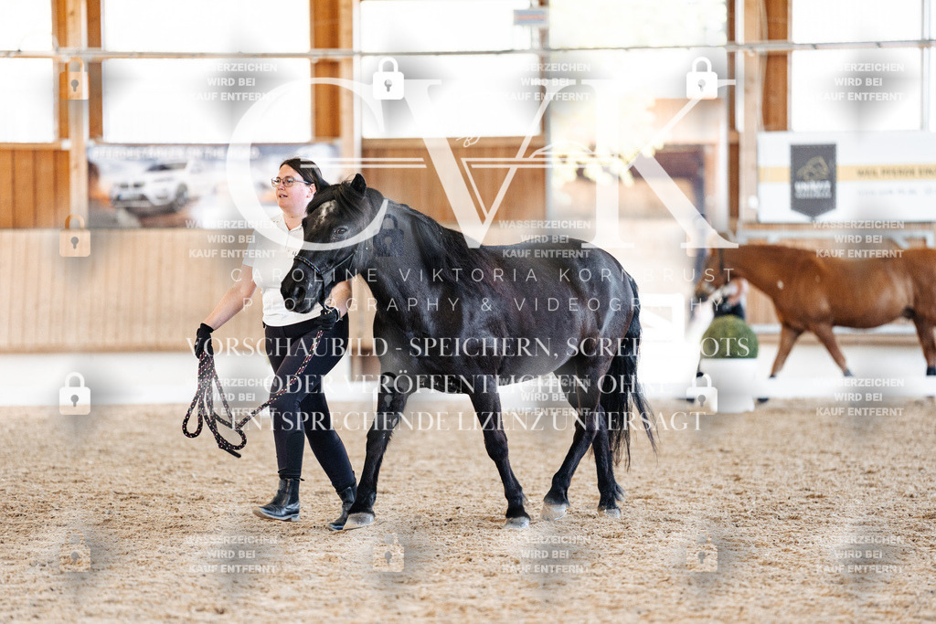 CK906502 | Turnierfotografie Pferdefotografie Trier Rheinland-Pfalz Pferdesport Reitsport Tierfotografie Sportfotografie Pferdevideo Pferdevideografie Equestrianvideography equestrianphotography  - Realisiert mit Pictrs.com