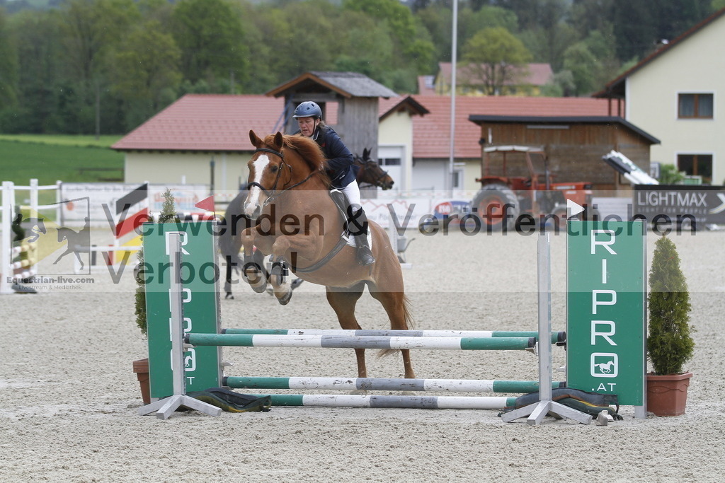 _MG_0726 | equestrian-live-com