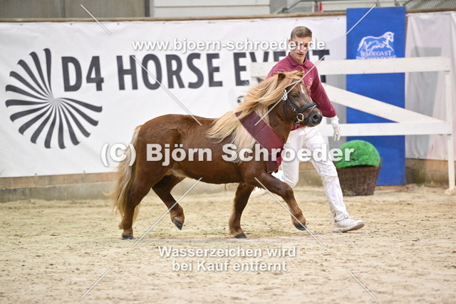 21_Edson v._T Heut - Lucky_963_1741 | Björn Schroeder Pferdefotografie