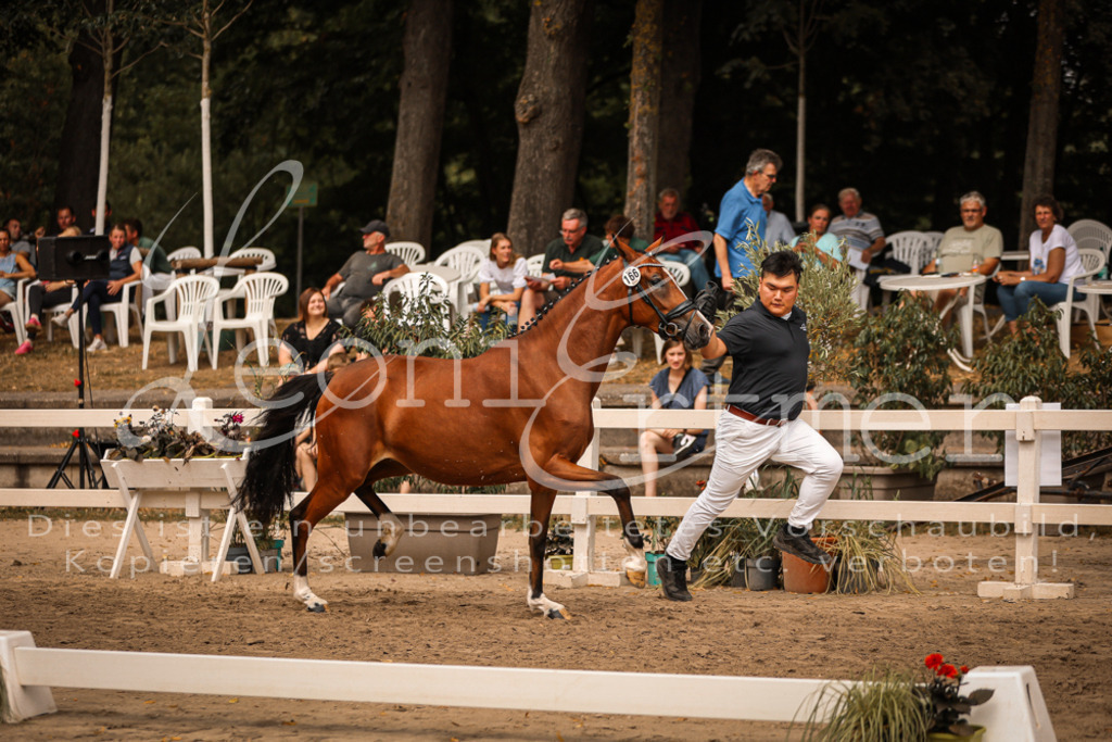 11.So00008 | Leoni Ertmer Photography - Realisiert mit Pictrs.com