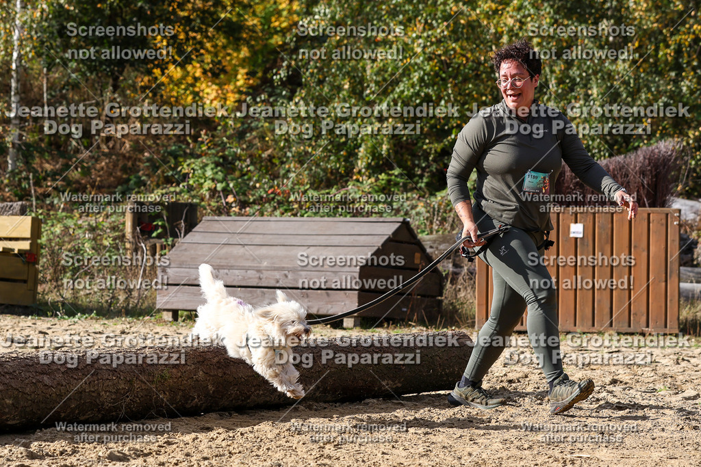 Dog Paparazzi - Strongdog 10-25-5560 | Dog Paparazzi Jeanette Grottendiek Fotografie & Videografie - Realisiert mit Pictrs.com