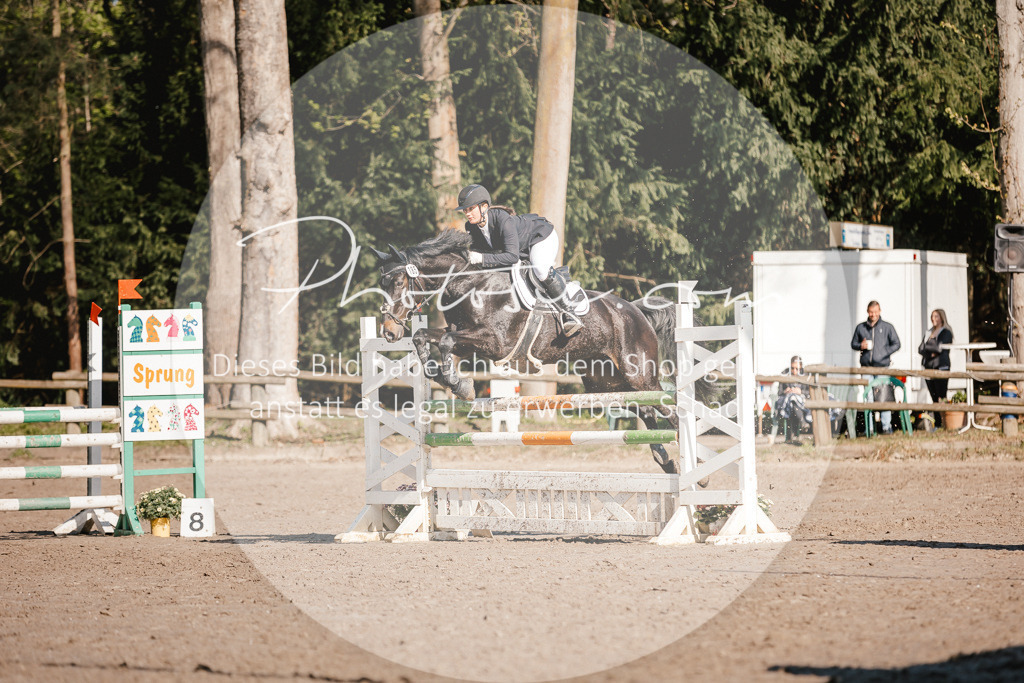 3I6A3706 | Stimmungsvolle Portraits und Reitsportfotografie im Ruhrgebiet und im Münsterland.

Pferdefotografie, Hundefotografie, Tierfotografie, Reportagen, Portraits von Tier und Mensch, Turnierfotografie in Bochum, Recklinghausen, Marl, Haltern am See, Dülmen.. - Realisiert mit Pictrs.com