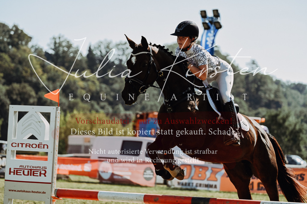 DSC_6760 | Pferde- und Turnierfotografie in Westsachsen. Pferdeportraits, Auftragszeichnungen und intuitive Kunst.