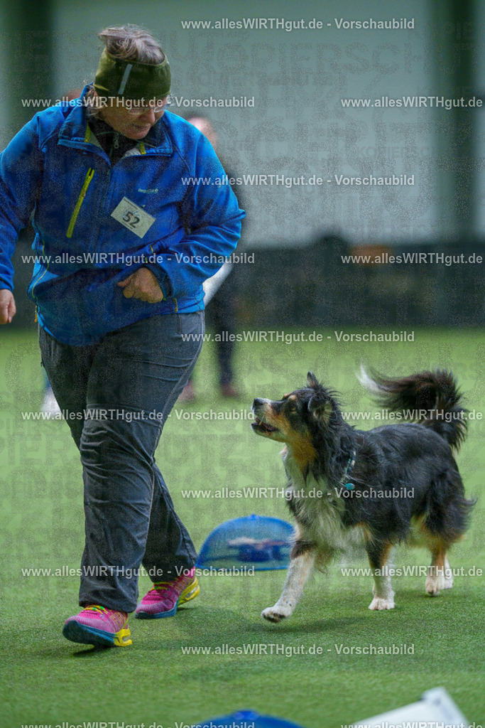 7R506447 | Professionelle Tierfotografie in Mönchengladbach von Daniel Wirth (allesWIRTHgut). Liebevolle & natürliche Bilder von Hunden & Katzen für unvergessliche Erinnerungen.